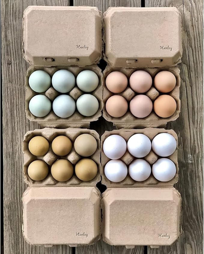 Half Dozen Blank Egg Cartons – Flat Top Half-Dozen Holder, Recyclable Pulp, Ideal for Farm-Fresh Eggs, DIY Custom Labeling, Eco-Friendly Storage - 100 Pack