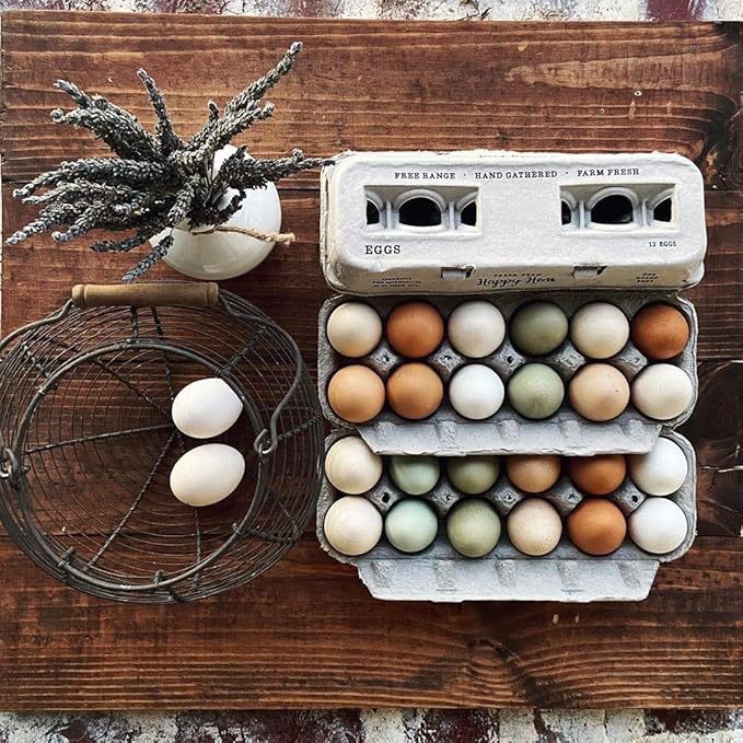 Egg Cartons- Adorable Printed Design for Farm Fresh Eggs, Recycled Paper Cardboard, Sturdy & Reusable, Holds up to XL Chicken Eggs (Blank Stamping, 90)