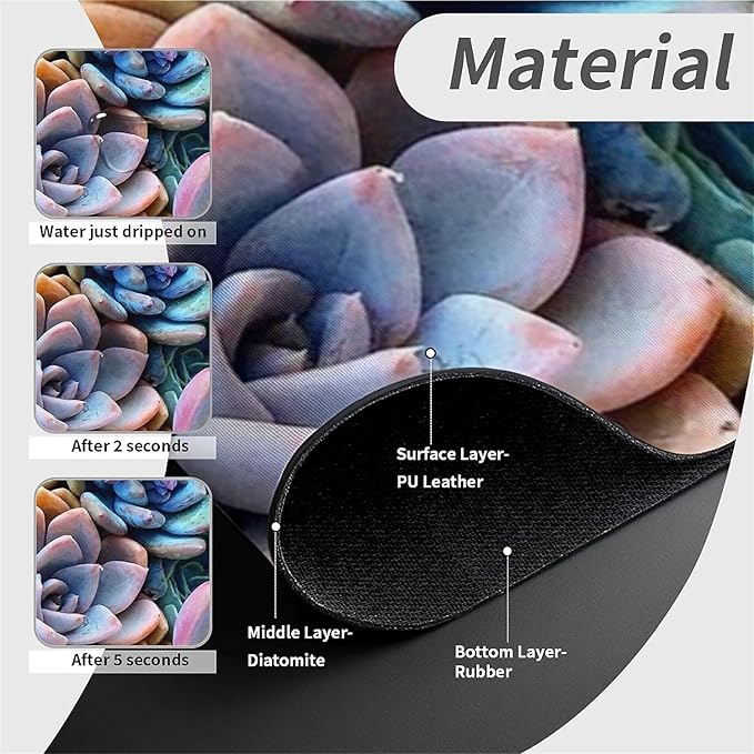 Kitchen Sink Splash Guard，Colorful plants succulents Faucet Mat Sink Gadgets-Super Absorbent Fast Drying Mat Drip Catcher for Kitchen, Bathroom,Sink Mat, Dish Drying Mat, Bathroom(15" X 5.5" )