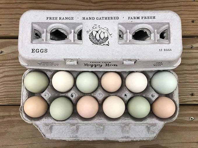 Egg Cartons- Adorable Printed Design for Farm Fresh Eggs, Recycled Paper Cardboard, Sturdy & Reusable, Holds up to XL Chicken Eggs (Blank Stamping, 250)