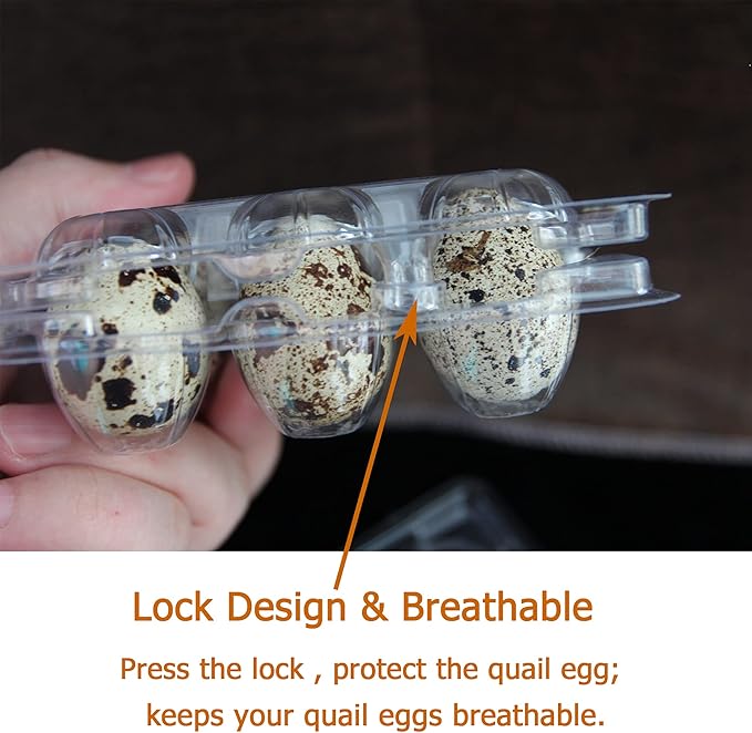 Quail Egg Cartons 50 Pack,Plastic Egg Holder 12 Tray of Small Egg Storage Holders,Quail Egg Cartons Cheap Bulk Egg Container for Refrigerator