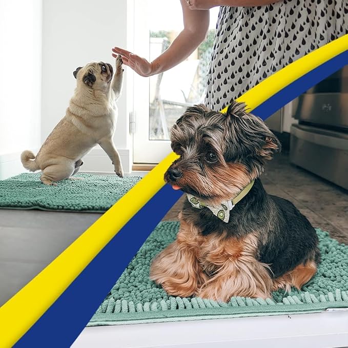 Muddy Mat® | Super Absorbent Door Mat Indoor, Microfiber Quick Dry Chenille Entryway Rug, Non-Slip Front Door Mat, Indoor Mats for Entryway, Machine Washable Pet Rug, Sea Green 24"x36"