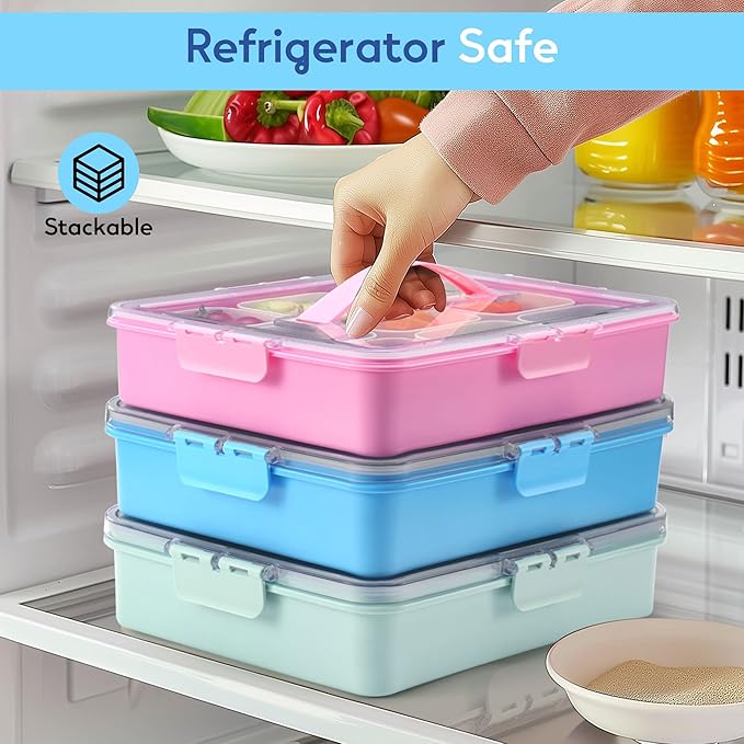 Snackle Box Container for Adults with 9 Compartment, Divided Serving Tray Snack Box Containers with Lid and Handle, Charcuterie Boxes Portable Snack Platter for Fruit Veggie Party Travel, Blue