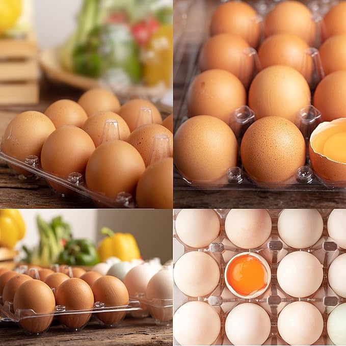70 Pack Plastic Egg Carton Reusable Clear Egg Cartons for Chicken Eggs, Hold 12 Eggs Each