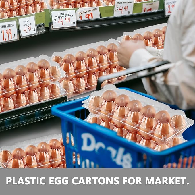 120PCS Egg Cartons Cheap Bulk, Clear Egg Cartons for Chicken Eggs, Reusable Chicken Egg Container Bulk Egg Holders with Labels for Refrigerator, Storage, Family, Chicken Farm, Market
