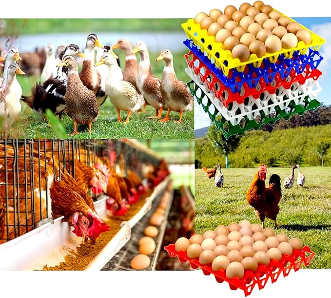 10-Pack Reusable Plastic Egg Tray Egg Crates 30-Egg Flats for Home Chicken Farmers, Stackable Egg Cartons Hold Multiple Eggs, Great for Storing, Sorting, and Shipping Eggs, Durable and Reusable