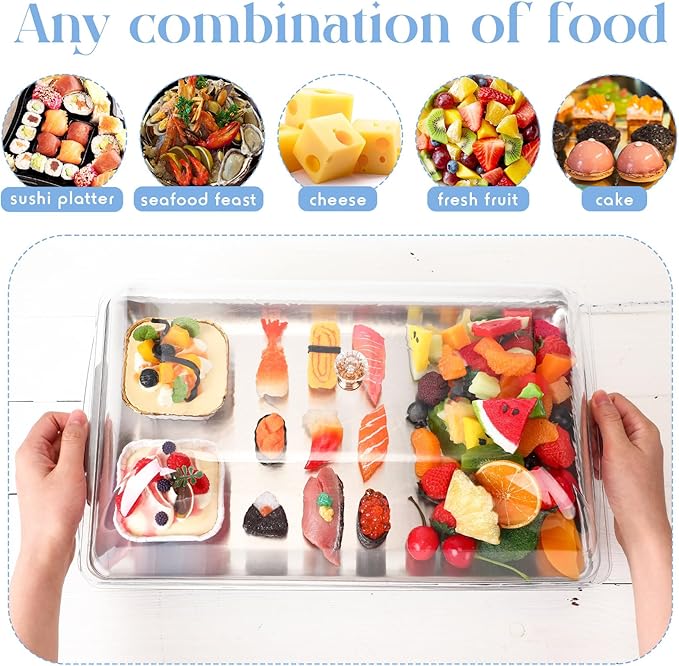 Baderke 1 Set 16" x 9.45" Chilled Serving Tray for Parties with Compartments and Lid Charcuterie Serving Board Ice Rectangle Chilled Party Platter for Seafood Vegetable Fruit Shrimp Cocktail(Silver)