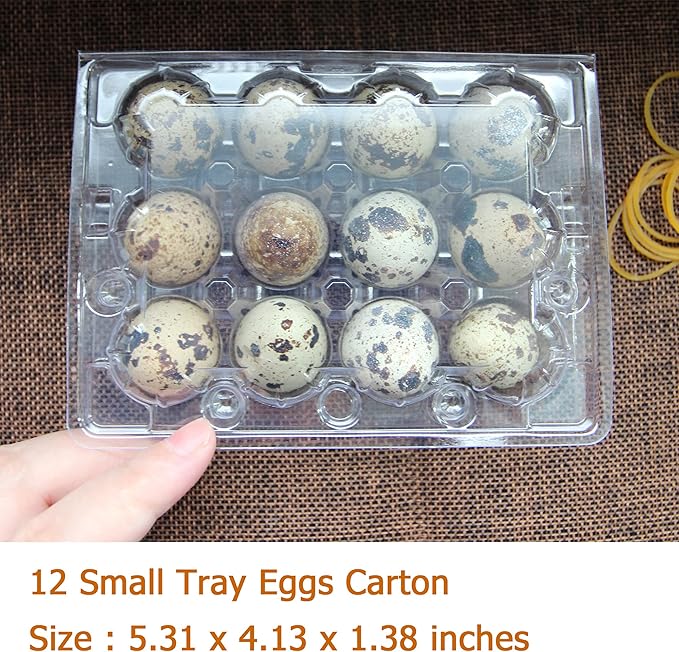 Quail Egg Cartons 50 Pack,Plastic Egg Holder 12 Tray of Small Egg Storage Holders,Quail Egg Cartons Cheap Bulk Egg Container for Refrigerator
