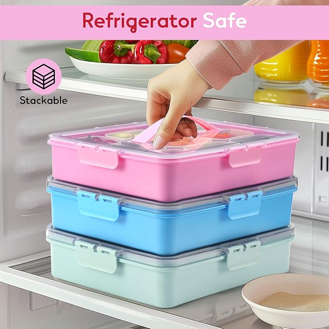Snackle Box Container for Adults with 9 Compartment, Divided Serving Tray Snack Box Containers with Lid and Handle, Charcuterie Boxes Portable Snack Platter for Fruit Veggie Party Travel, Pink