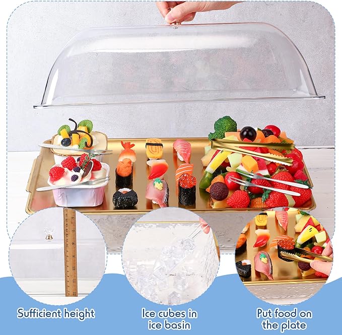 Baderke 1 Set 16" x 9.45" Chilled Serving Tray for Parties with Compartments and Lid Charcuterie Serving Board Ice Rectangle Chilled Party Platter for Seafood Vegetable Fruit Shrimp Cocktail (Gold)