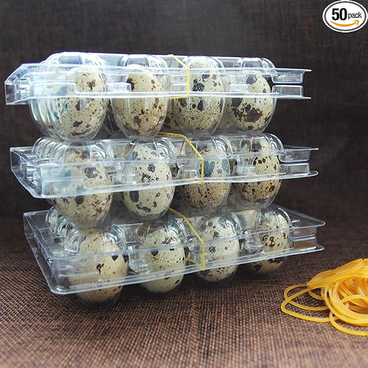 Quail Egg Cartons 50 Pack,Plastic Egg Holder 12 Tray of Small Egg Storage Holders,Quail Egg Cartons Cheap Bulk Egg Container for Refrigerator