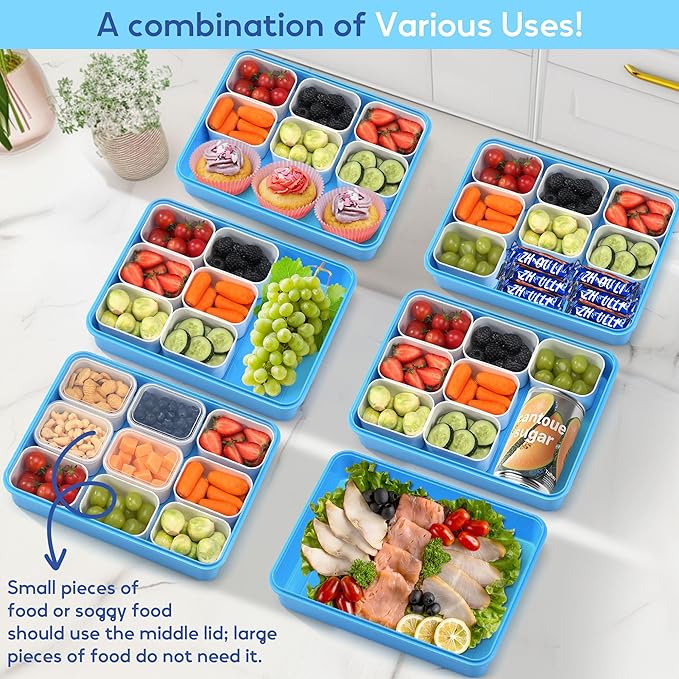 Snackle Box Container for Adults with 9 Compartment, Divided Serving Tray Snack Box Containers with Lid and Handle, Charcuterie Boxes Portable Snack Platter for Fruit Veggie Party Travel, Blue