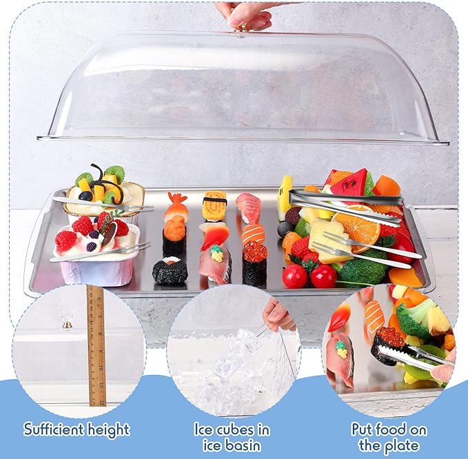 Baderke 1 Set 16" x 9.45" Chilled Serving Tray for Parties with Compartments and Lid Charcuterie Serving Board Ice Rectangle Chilled Party Platter for Seafood Vegetable Fruit Shrimp Cocktail(Silver)