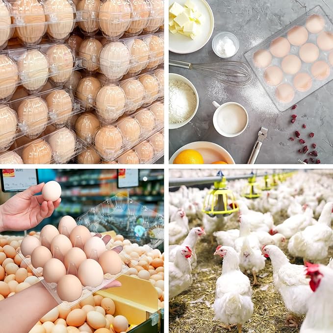150 Pack Bulk Egg Cartons, Clear Plastic Chicken Egg Holders, Egg Tray Carton Holder for Home & Kitchen, Farm & Market Use, An Eco-Friendly Egg Storage Solution, 12 Grids