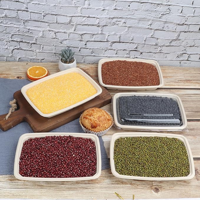 JAYEEY 20 oz Rectangle Disposable bowls with lids,Sugarcane Fibers Bowls take away food containers Plant Fibers Freezer Safe 50 Pack
