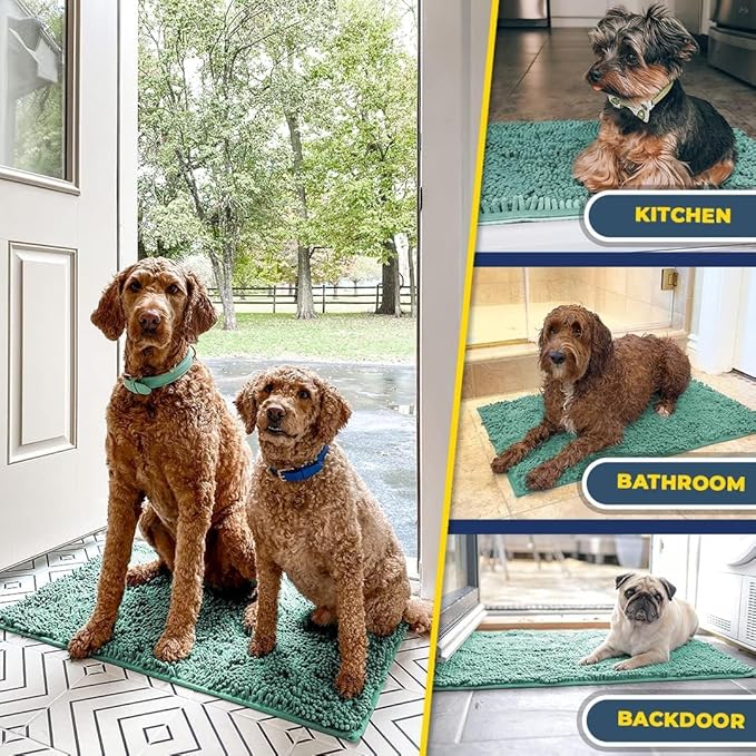 Muddy Mat® | Super Absorbent Door Mat Indoor, Microfiber Quick Dry Chenille Entryway Rug, Non-Slip Front Door Mat, Indoor Mats for Entryway, Machine Washable Pet Rug, Seafoam Green 35"x24"