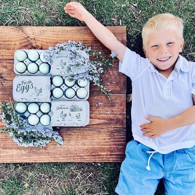 Half Dozen Egg Cartons- Full Dozen Can Split to Half Dozen Size- Each Carton Securely Holds 6 or 12 Extra Large Eggs (Natural, 250)