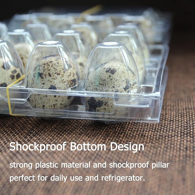 Plastic Quail Egg Cartons, 25 Pack, 12 Tray, Small Egg Display Container