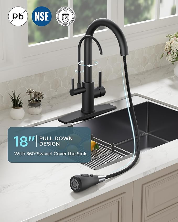 FORIOUS Black Kitchen Faucets with Water Filter, 2 in 1 Stainless Steel Pull Down Sink Faucet and Purfied Water Faucet High Arc Single Handle with Detachable Deck for 1 or 3 Hole