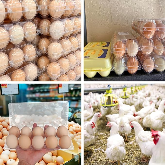 98 Pack Bulk Egg Cartons, Clear Plastic Chicken Egg Holders, Egg Tray Carton Holder for Home & Kitchen, Farm & Market Use, An Eco-Friendly Egg Storage Solution, 10 Grids(Medium Size)