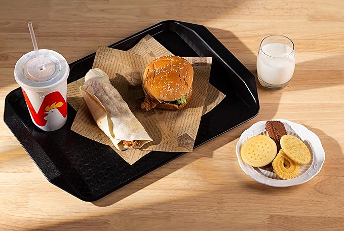 Eslite Plastic Fast Food Serving Tray,16.95 by 11.82-Inch,Set of 12 (Black)