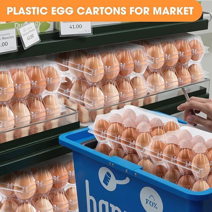 40 Pack Clear Egg Cartons Cheap Bulk,Plastic Egg Carton Bulk 12 Count,Reusable Egg Holder, Medium Egg Containers for Chicken Eggs 2x6 Grids