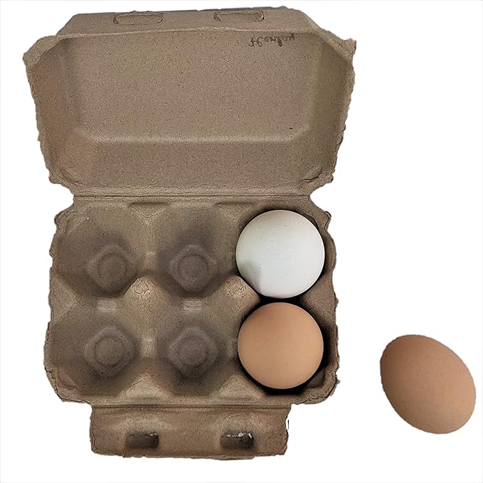 Half Dozen Blank Egg Cartons – Flat Top Half-Dozen Holder, Recyclable Pulp, Ideal for Farm-Fresh Eggs, DIY Custom Labeling, Eco-Friendly Storage - 100 Pack