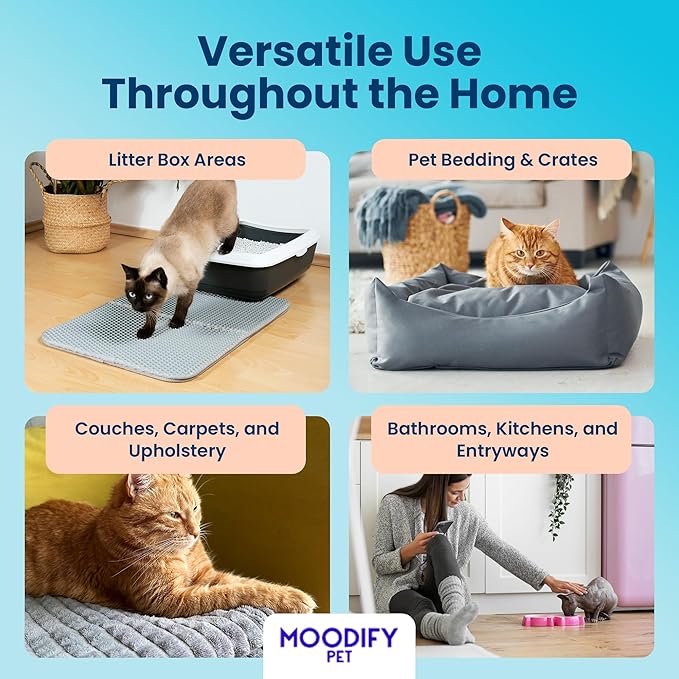 MoodifyPet Cat Litter Odor Pet Odor Eliminator For Home, 12-Pack – Hangable Odor Absorber with Patented ScentScreen Tech – Cat Scent Eliminator, Lasts Up To 30 Days, Safe for Pets & Kids
