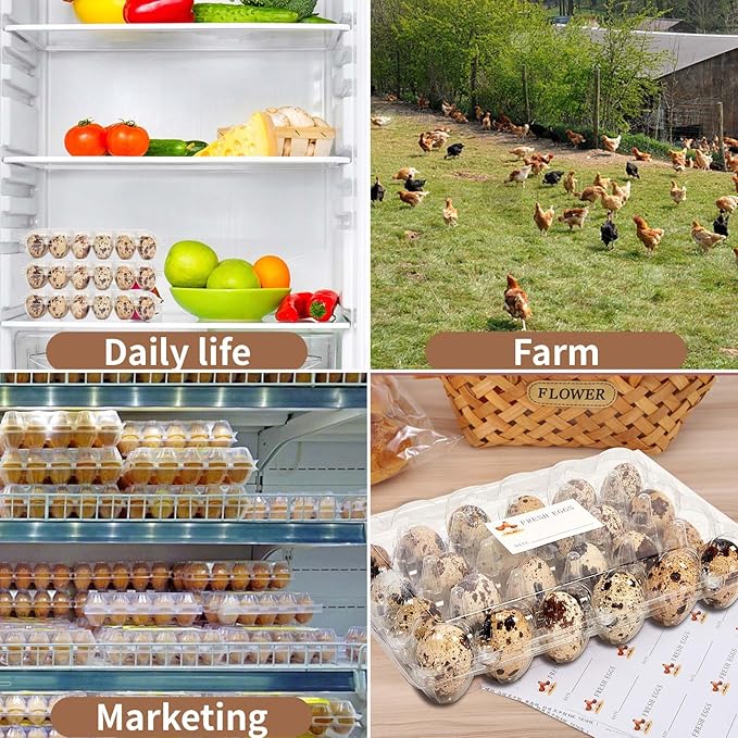 Quail Egg Cartons 90 Pack, 24 Grids Clear Quail Egg Cartons Cheap Bulk, Small Plastic Quail Egg Storage Holders With Lid, Reusable Quail Egg Tray For Farm, Refrigerator, Market Display
