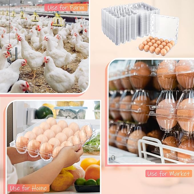 Zubebe 200 Pieces Clear Egg Cartons Plastic Egg Cartons Bulk Empty Chicken Egg Tray Holds Securely Clear Blank Egg Cartons for Chicken Farm Business Market Home Refrigerator Storage(4 x 5 Grids)