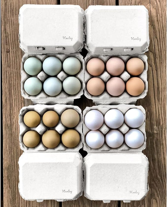 White Half Dozen Blank Egg Cartons – 6-Pack Flat Top Half-Dozen Holder, Recyclable Pulp, Ideal for Farm-Fresh Eggs, DIY Custom Labeling, Eco-Friendly Storage - 20 Pack