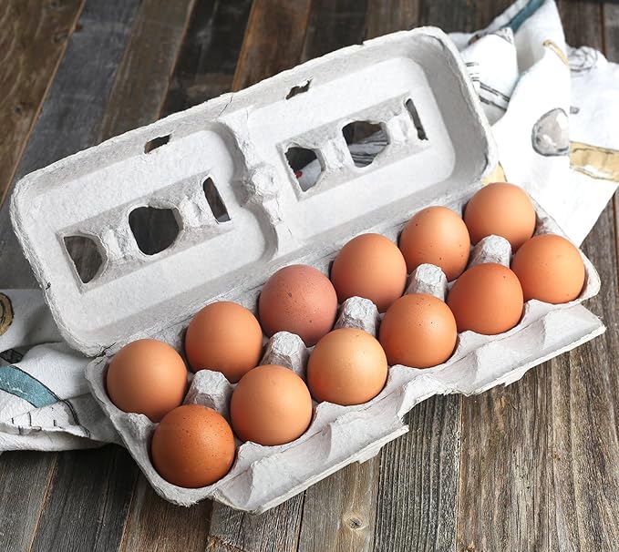 MT Products Printed Empty Egg Cartons Holds 12 Eggs - Cardboard Crate for Eggs (Pack of 15) - Made in USA