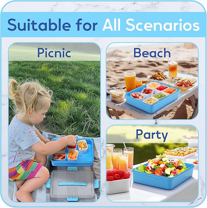 Snackle Box Container for Adults with 9 Compartment, Divided Serving Tray Snack Box Containers with Lid and Handle, Charcuterie Boxes Portable Snack Platter for Fruit Veggie Party Travel, Blue